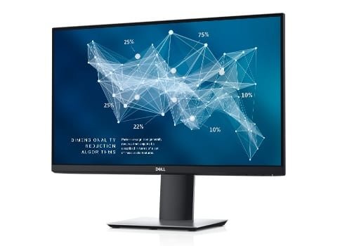 Genuine Dell 24 Monitor: P2421D